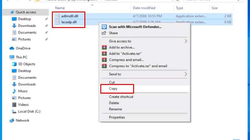 Copy 2 file kích hoạt